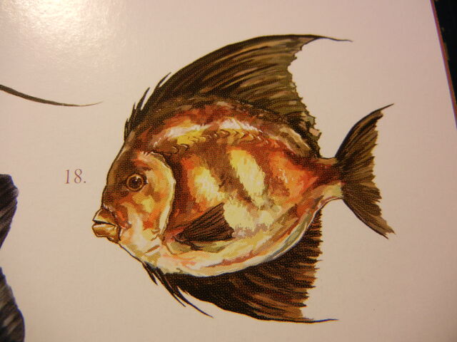 File:DSCN2151.jpg