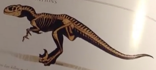 File:Venatosaurus Skeleton.png