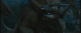 Picture 7.png