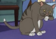 Duke