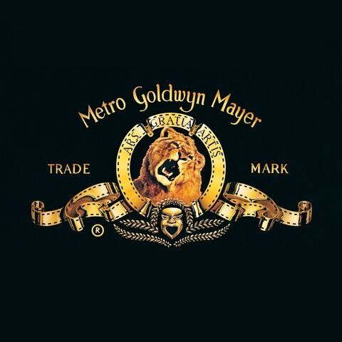 Plik:Mgm.jpg