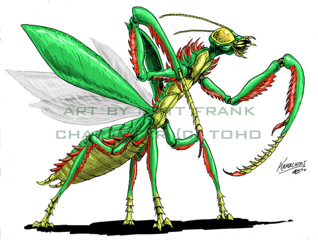 Файл:Kamacuras Neo.jpg
