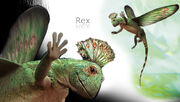 Rex image