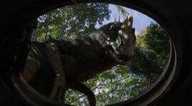Slasher-photo-terra-Nova.jpg