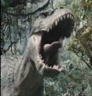 Rex