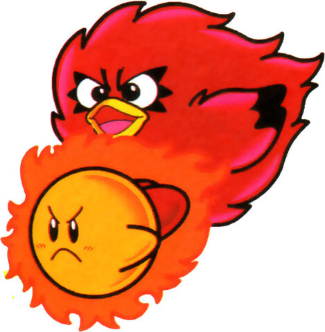 Datei:Coo Feuerball.jpg