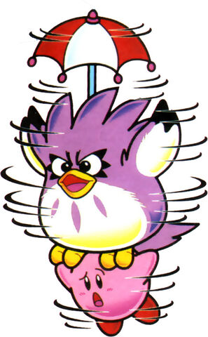 Datei:Coo Schirm.jpg