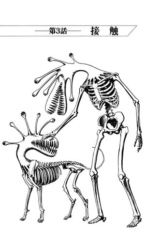 File:Chapter 03.jpg