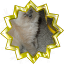 Tiedosto:Badge-love-2.png