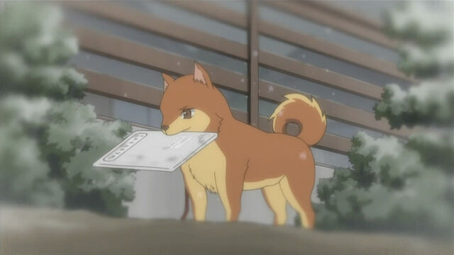 File:Kenta with letter.jpg