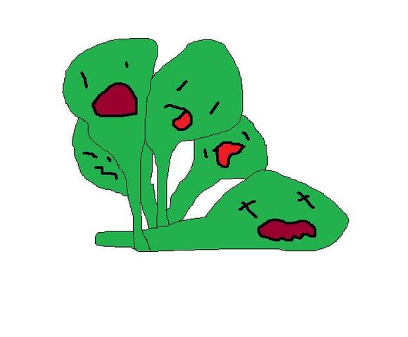 File:Spinach.jpg