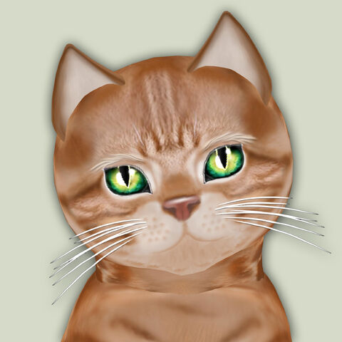 File:Red Tabby.jpg