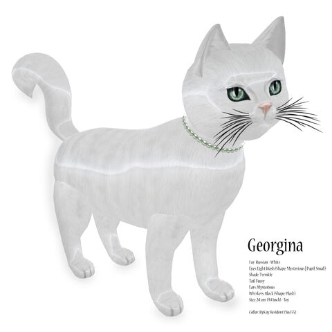 File:KittyCatS! - Georgina.jpg