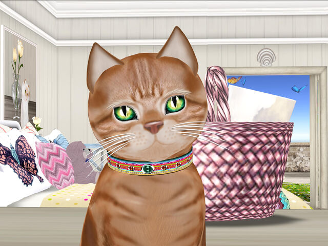 File:Kitty.jpg