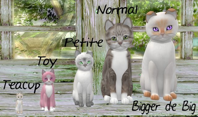 File:Size compare.png