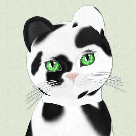 File:Lucky Irish Clover.jpg