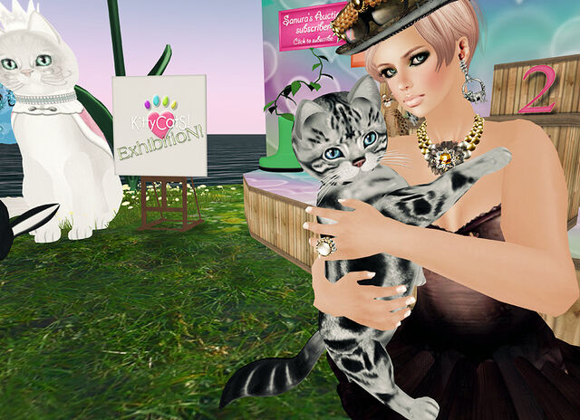 File:CallieSilverTabby.jpg