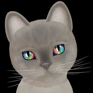 Burmese