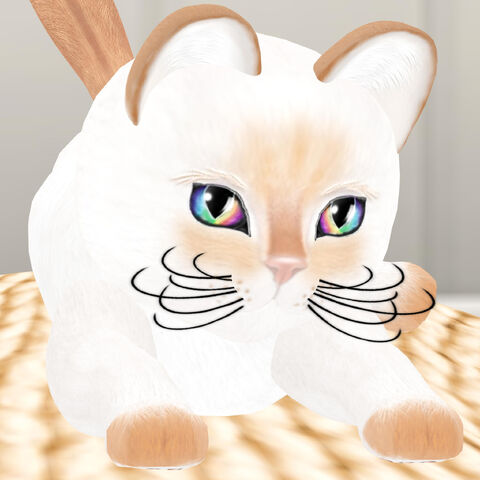 File:KittyCatS! - Philippine.jpg