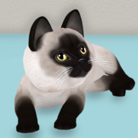 File:Siamese Seal - Ody Burst.jpg