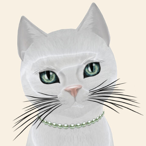 File:KittyCatS! - Amore.jpg