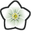 Orange blossom collectable doober