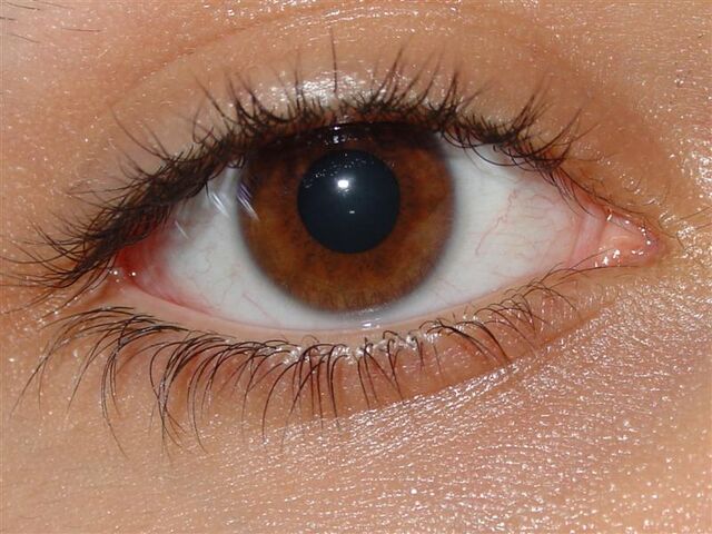 File:eye.jpg