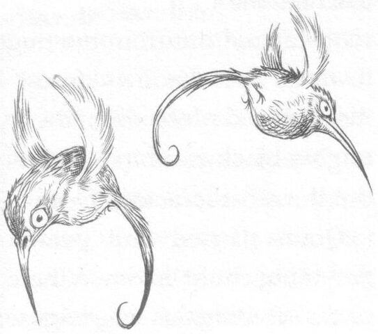 Datei:Emeraldmossbirds.jpg