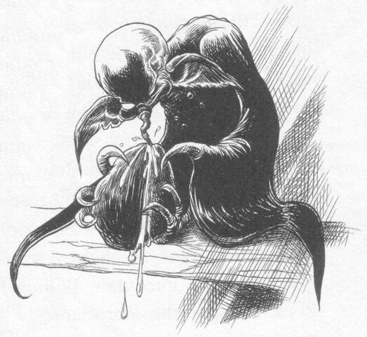 Datei:Dwarfrotsucker.jpg
