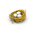 Chicken nest