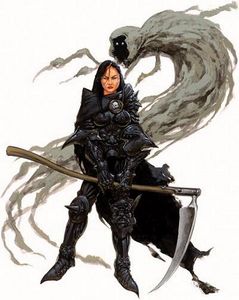 Master of Shrouds