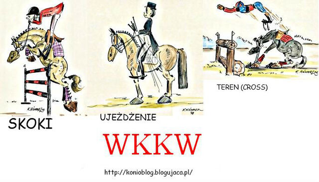 Plik:Wkkw.jpg