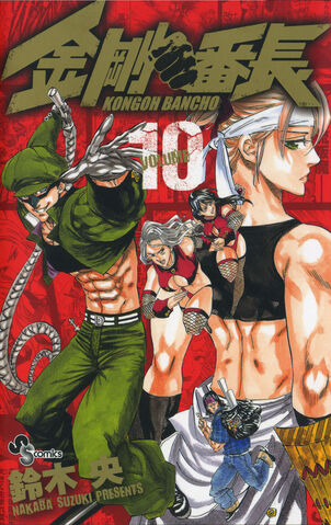 File:Volume 10.jpg