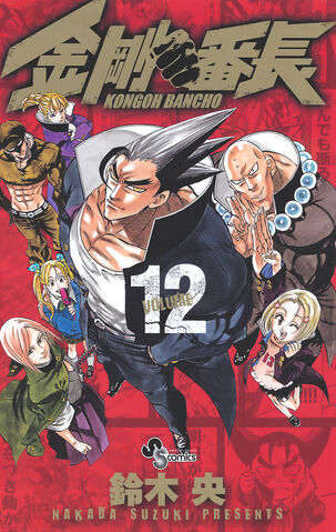 File:Volume 12.jpg