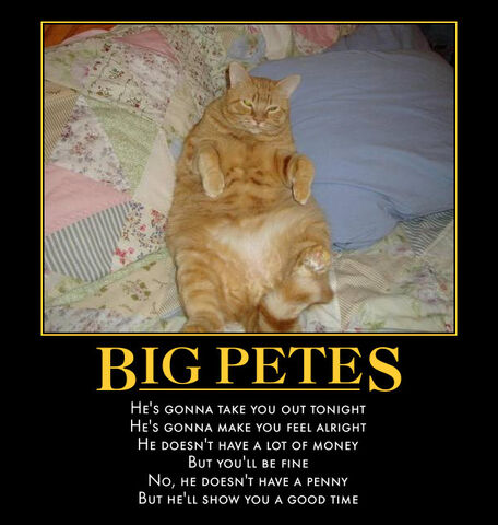 File:Automotivator.jpg