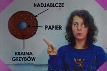 Kgtv diagram
