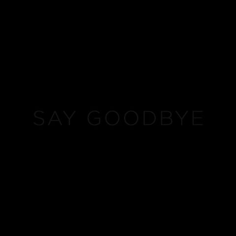 File:Say Goodbye.jpg