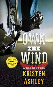 OwnTheWindBookCover