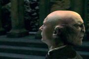 Voldemort (7)