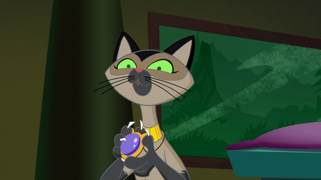 File:Vlcsnap-2015-02-20-03h20m56s216.png