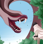 1-43 sura and boy