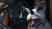Shifu-15.jpeg
