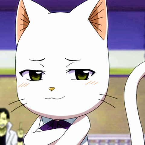 Plik:Kity.png
