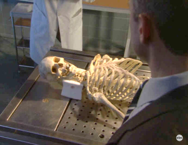 File:BreenSkeleton.jpg