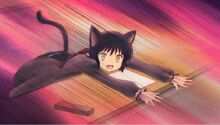 Suzu at the Black Cat Exam