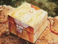 Ivory Box