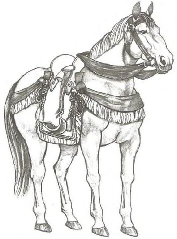 File:Horse 3.jpg