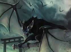 Bat