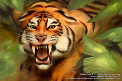 Tiger 2