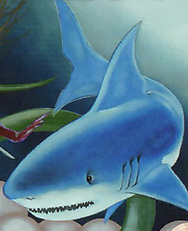 Shark